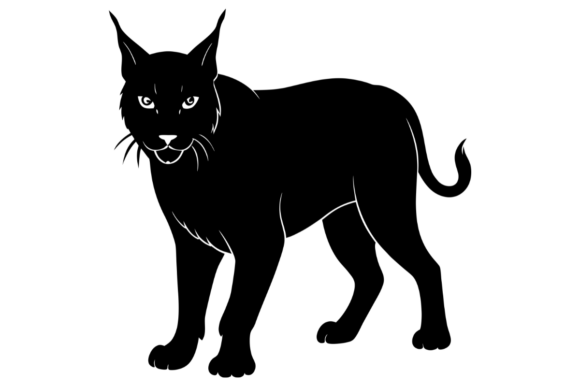 Black Silhouette of a Lynx Standing